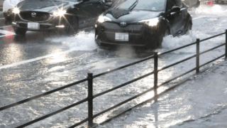 image 2IH3TDUPXU 新潟ニュース 新潟市の雨、恵みの雨と警報級の大雨 新潟県 教育振興基本計画