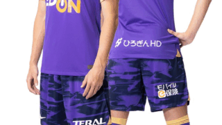 image SGXAX4ZFGK 新潟ニュース サンフレッチェ広島、アルビ新潟との試合結果 新潟県 教育振興基本計画