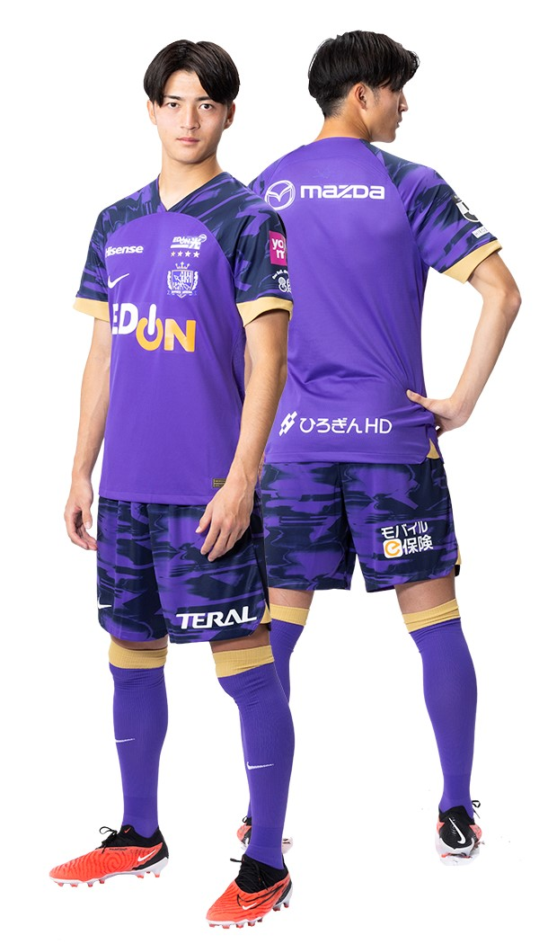 image SGXAX4ZFGK 新潟ニュース サンフレッチェ広島、アルビ新潟との試合結果 新潟県 教育振興基本計画