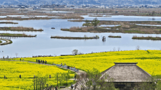 image X4XPEUGDCS 新潟ニュース 福島潟の自然と歴史を深体験する方法 新潟県 教育振興基本計画