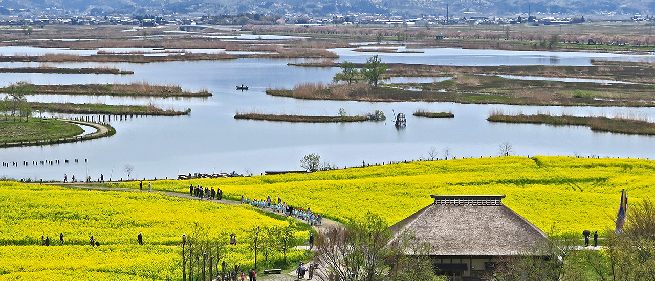 image X4XPEUGDCS 新潟ニュース 福島潟の自然と歴史を深体験する方法 新潟県 教育振興基本計画